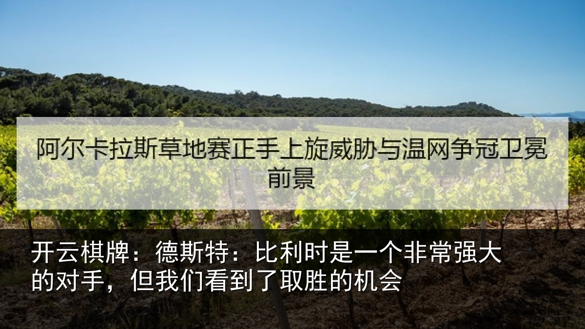 开云棋牌:德斯特:比利时是一个非常强大的对手,但我们看到了取胜的机会
